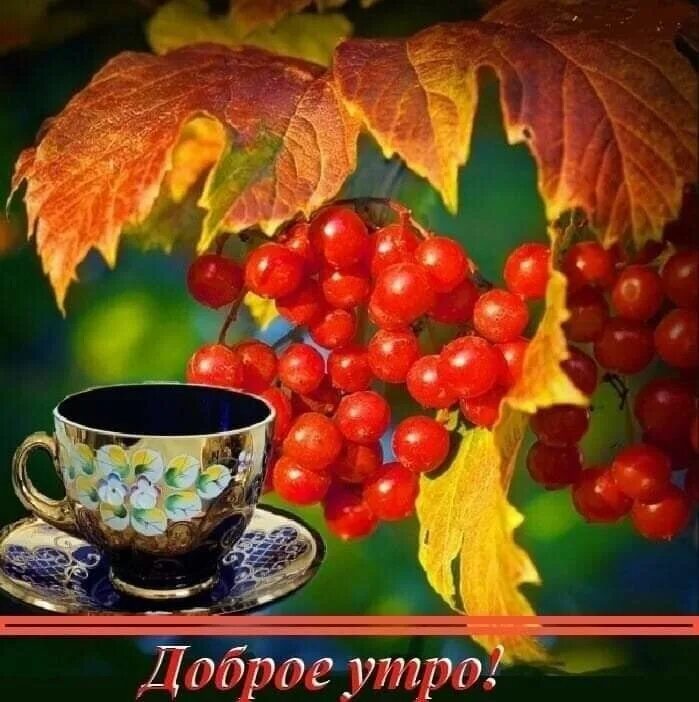 Картинка доброе осеннее утро хорошего дня Комментарии к теме Доброе утро, Осенние картинки, Открытки