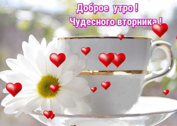 Картинка доброе утро чудесного настроения Доброе утро - "Я и ты Водолей - вместе будет веселей.", пользователь Ольга Плесо