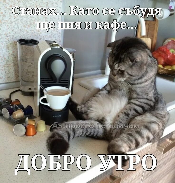 Картинка доброе утро прикольные фото Pin op Добро утро