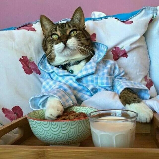 Картинка доброе утро прикольные фото CAFÉ DE DOMINGO - @cosmopolitan_de - #cafe #café #coffee #coffeetime #caffe #Gos