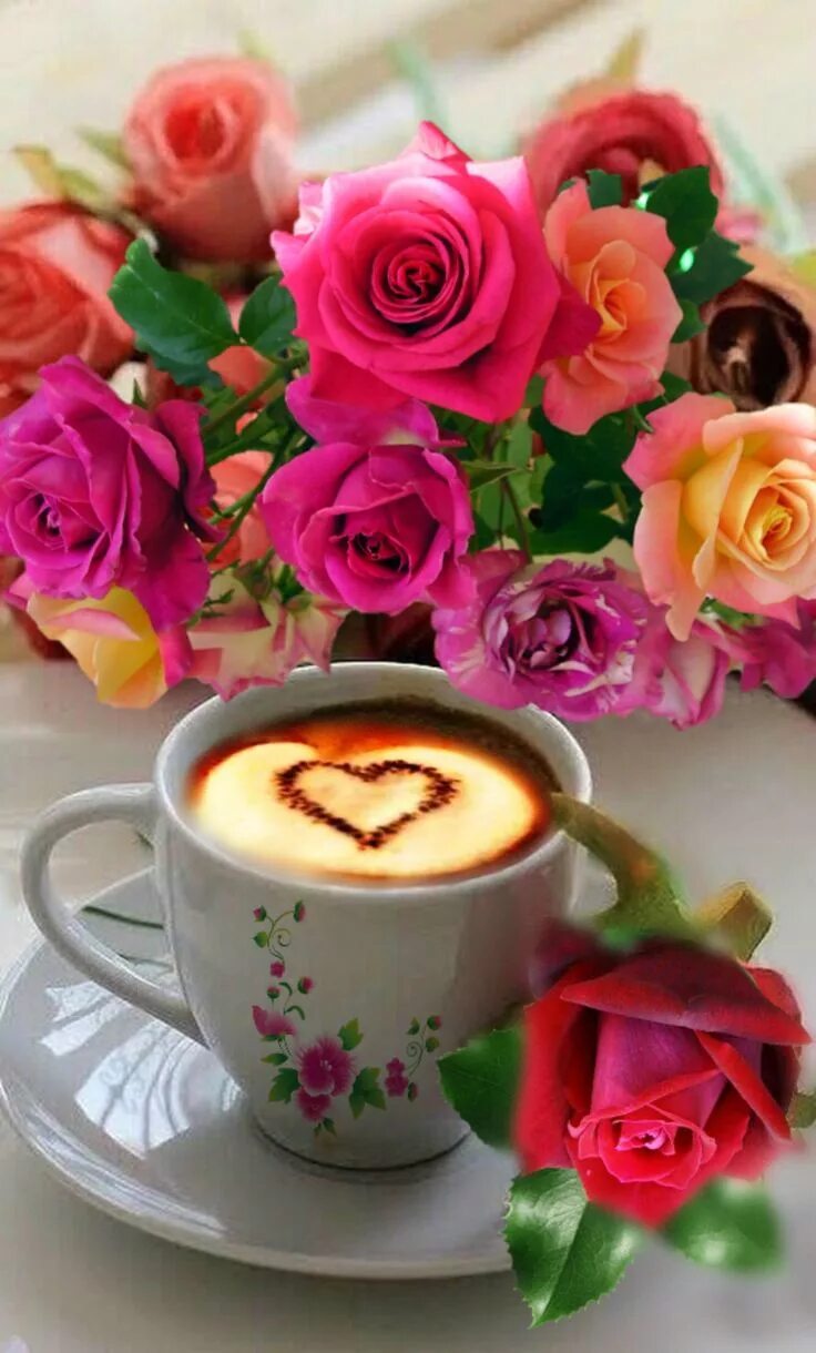 Картинка доброе утро с цветами скачать бесплатно Pin on Good Morning Love Good morning coffee, Good morning roses, Beautiful rose