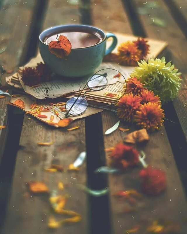 Картинка доброе утро стильная осенняя Autumn Bliss flowers, coffee και autumn Autumn photography, Autumn coffee, Autum