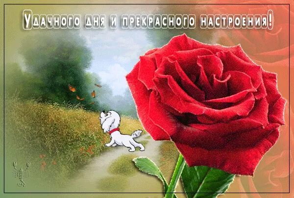 Картинка добрый день хорошего настроения анимация 3403-T-Yockey-14859-TY.gif (600 × 404) Открытки, Картинки, Чувства