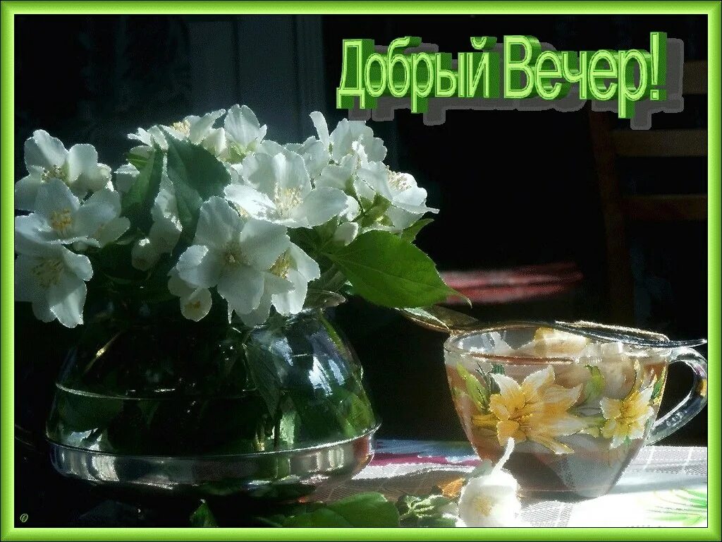 Картинка добрый весенний вечер женщине ПРИВЕТСТВИЯ и ПОЖЕЛАНИЯ, открытки на каждый день. опубликовал пост от 26 мая 202