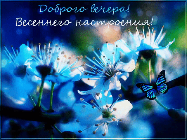 Картинка добрый весенний вечер женщине Pin on ВЕЧЕР in 2024 Plants, Garden