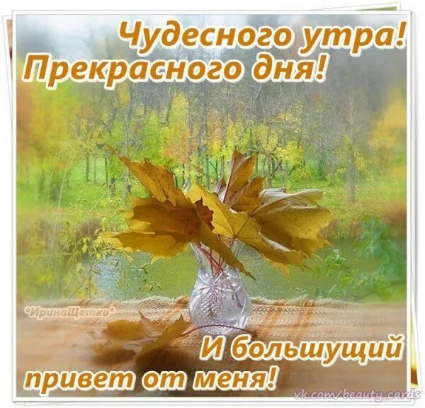 Картинка хорошего дня осень ранняя Картинки - С добрым утром 2024 (Красивые открытки)