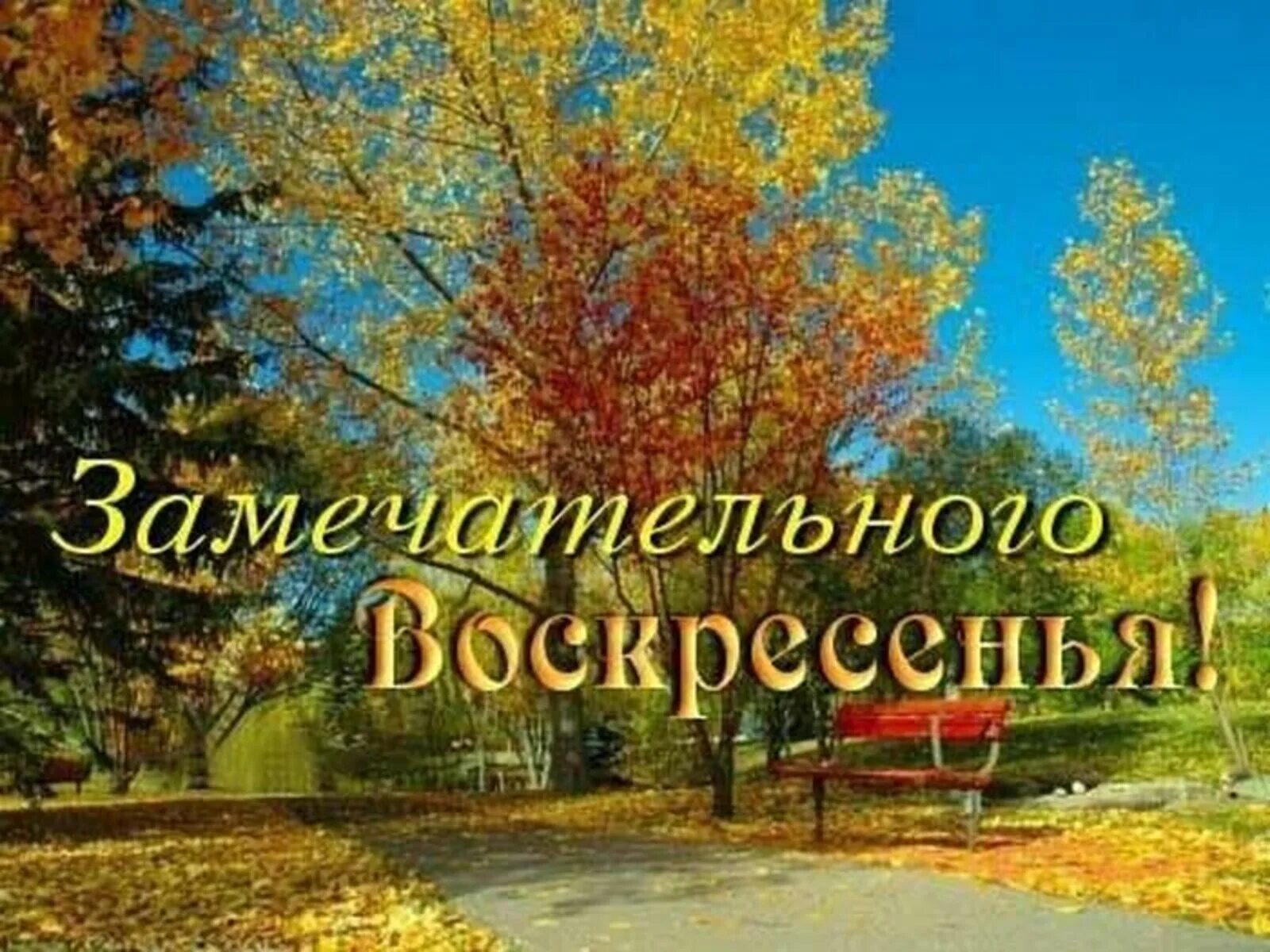 Картинка хорошего дня осень ранняя Доброе утро!