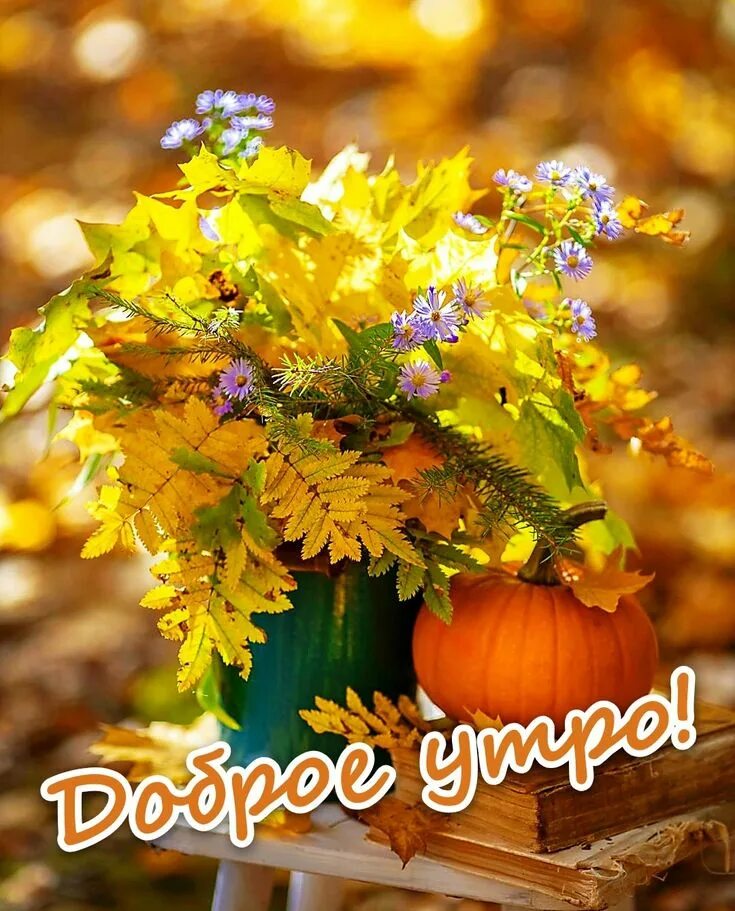 Картинка хорошего дня осень ранняя Pin on доброе утро Autumn garden, Fall fruits, Flower cottage