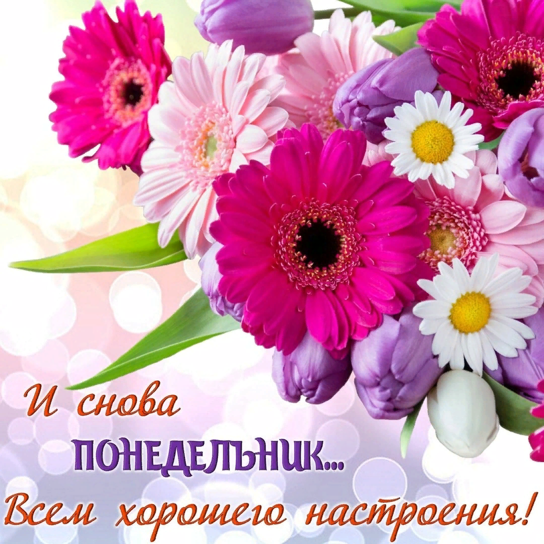 Картинка хорошего дня понедельника скачать бесплатно ❀ ♔ Самая Обаятельная и Привлекательная ♔ ❀ - Фото OK.RU Montreal botanical gard