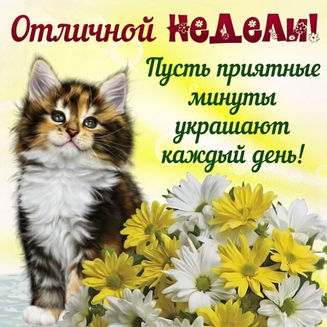 Картинка хорошего дня понедельника скачать бесплатно Открытки дни недели в Доме Солнца - Страница 3
