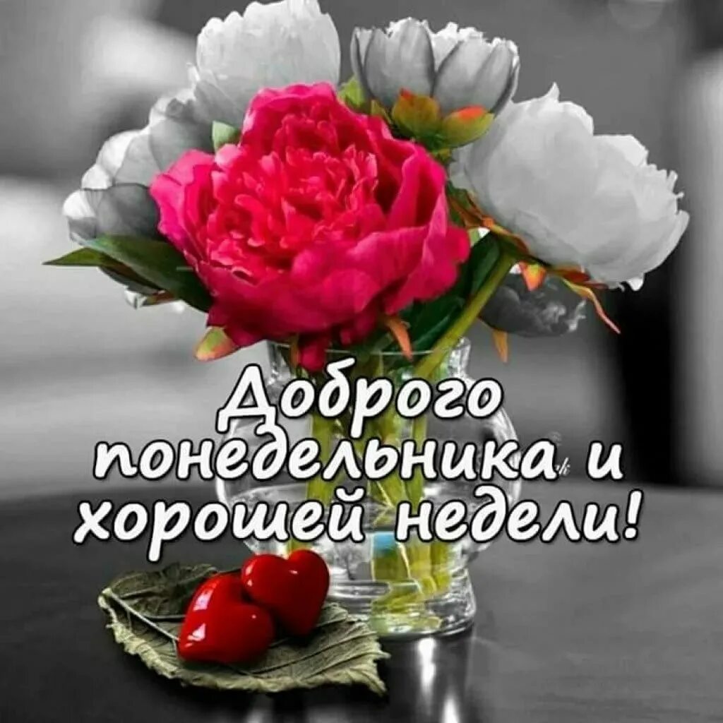 Картинка хорошего дня понедельника скачать бесплатно ПРИВЕТСТВИЯ и ПОЖЕЛАНИЯ, открытки на каждый день. - 22 января 2023 в 22:18