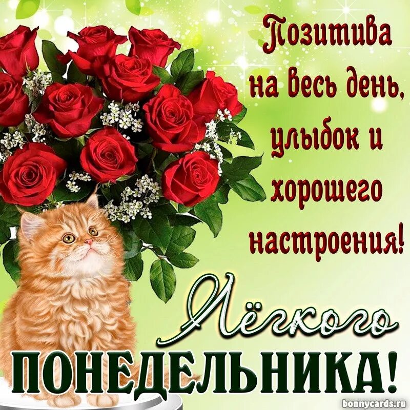 Картинка хорошего дня понедельника скачать бесплатно Друзья день бесплатный с ватсапа: найдено 84 изображений