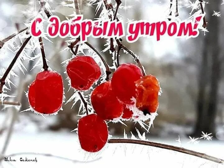 Картинка хороший день зима Pin af Любовь Григорьевна på УТРО