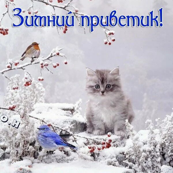 Картинка хороший день зима Календарь знаменательных и памятных дней. 4 Декабря. - Просто ДОБРОЕ УТРО , поль