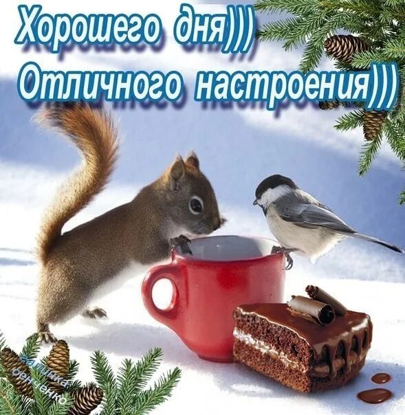 Картинка хороший день зима Хорошего зимнего дня, Тепла, заботы, ласки И пусть сбудется мечта, Как в новогод