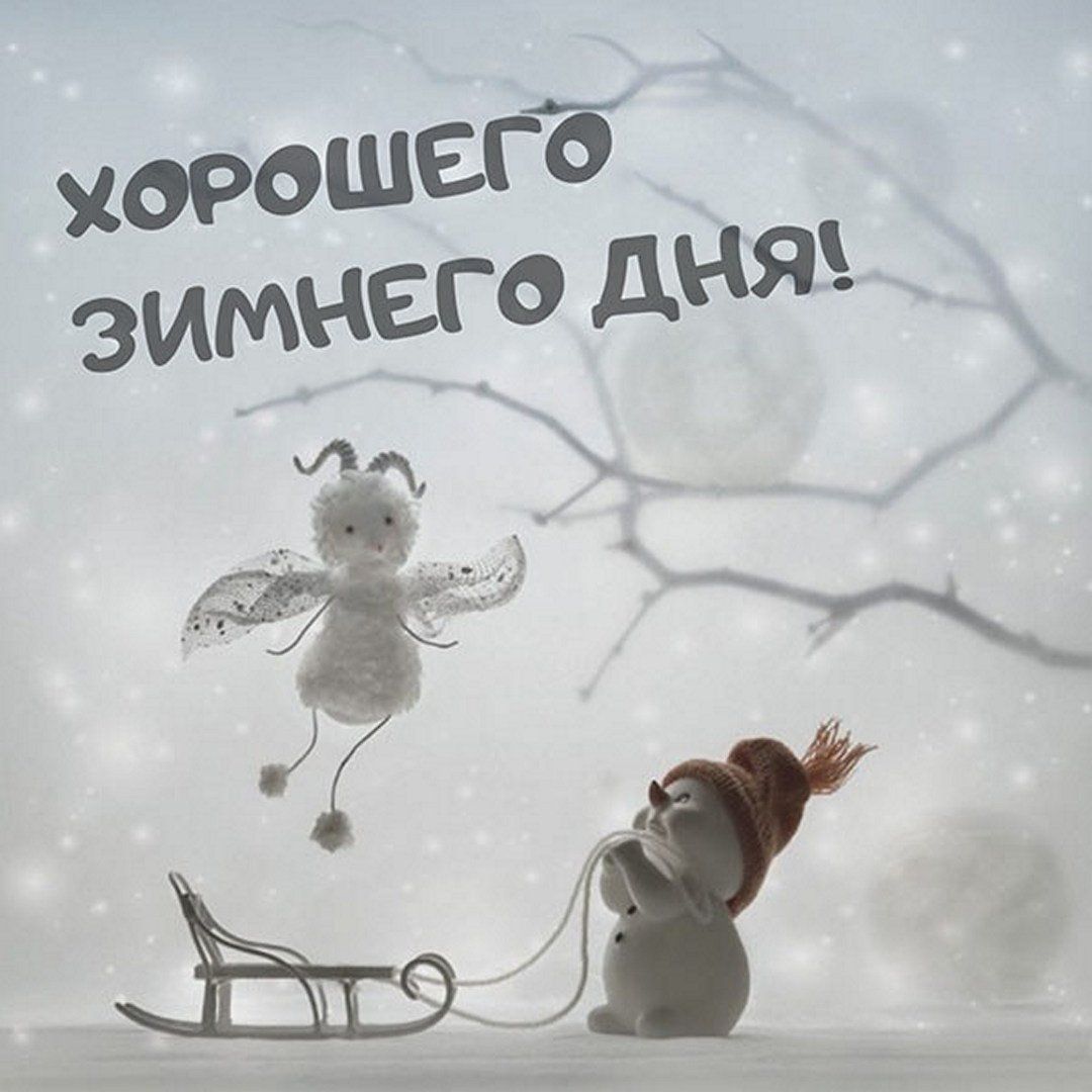 Картинка хороший день зима 120 красивых зимних открыток с ДОБРЫМ ДНЁМ ЗИМЫ Картинки, Доброе утро, Веселые к