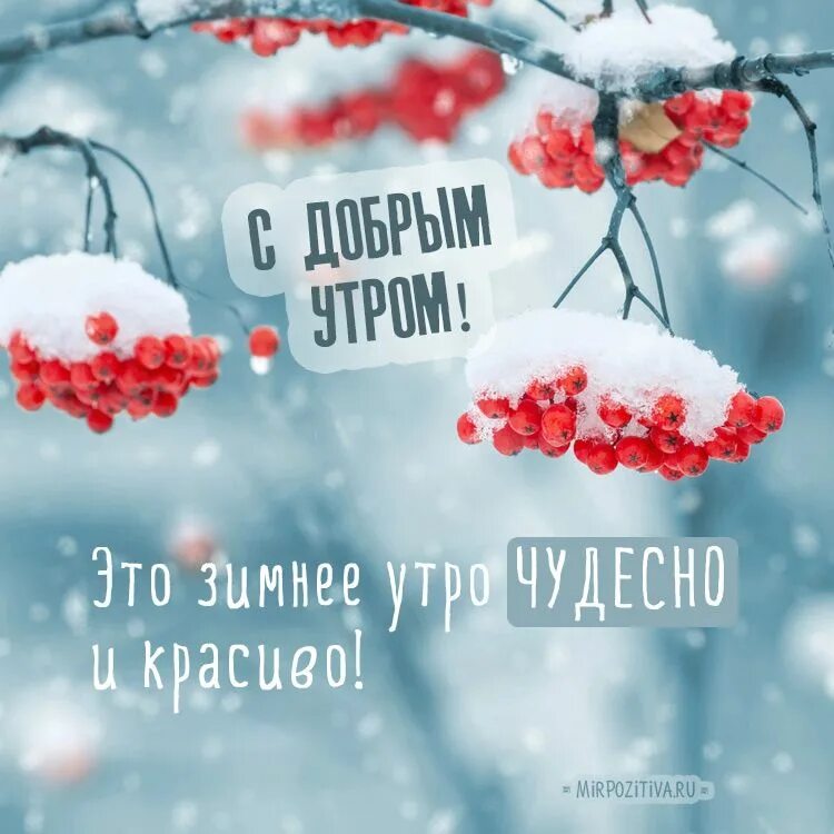 Картинка хороший день зима Красивые и прикольные картинки с пожеланием зимнего Доброго утра! Доброе утро, З
