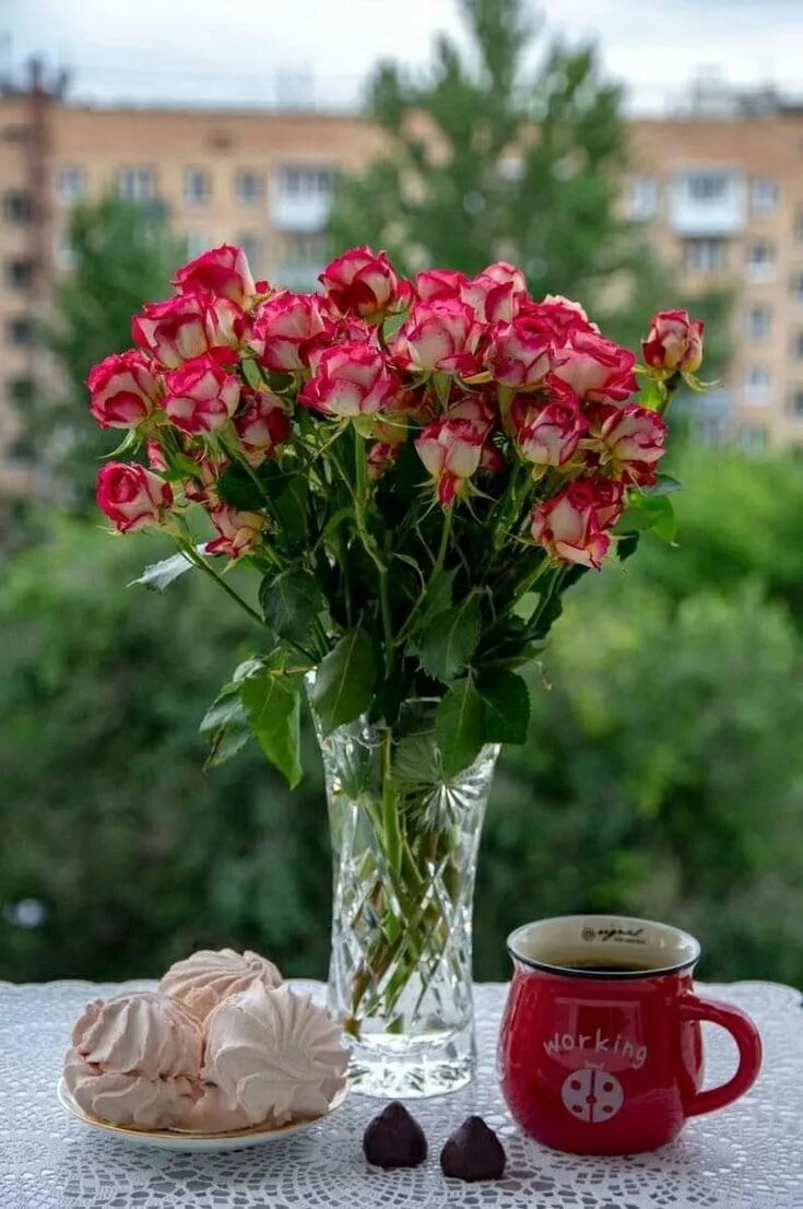 Картинка красивые букеты с добрым утром Pin by Chrow on Flowers Beautiful bouquet of flowers, Beautiful flowers, Beautif