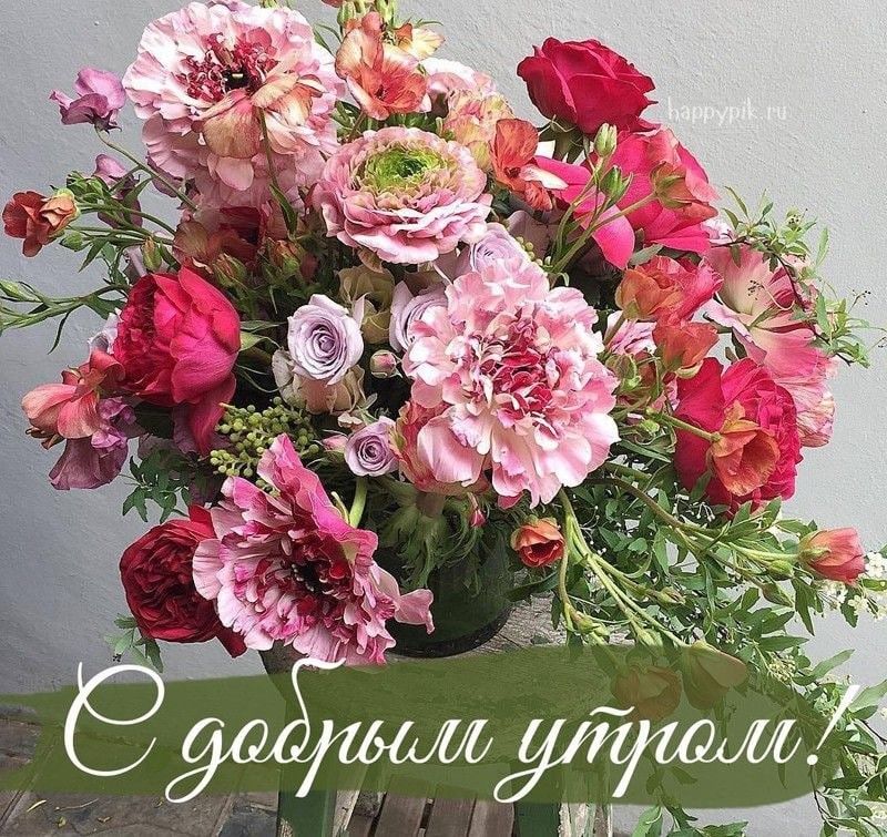 Картинка красивые букеты с добрым утром Доброе утро Красивые цветы, Цветы, Смешное рождество