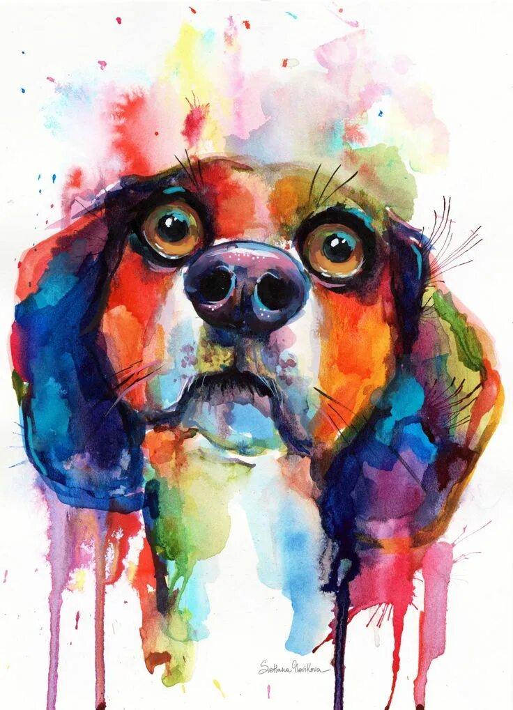 Картинка красками животных Funny Beagle Dog watercolor painting by Svetlana Novikova Painting Beagle art, F