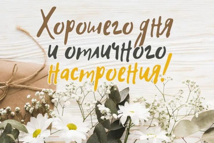 Картинка лучший день в году Хорошего дня и отличного настроения Congrats, Novelty sign, Cards