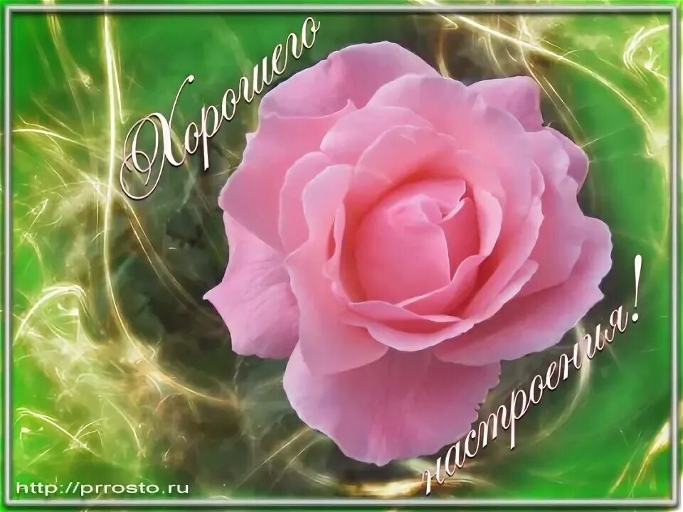 Картинка марина хорошего дня Добрый день марина - Фото