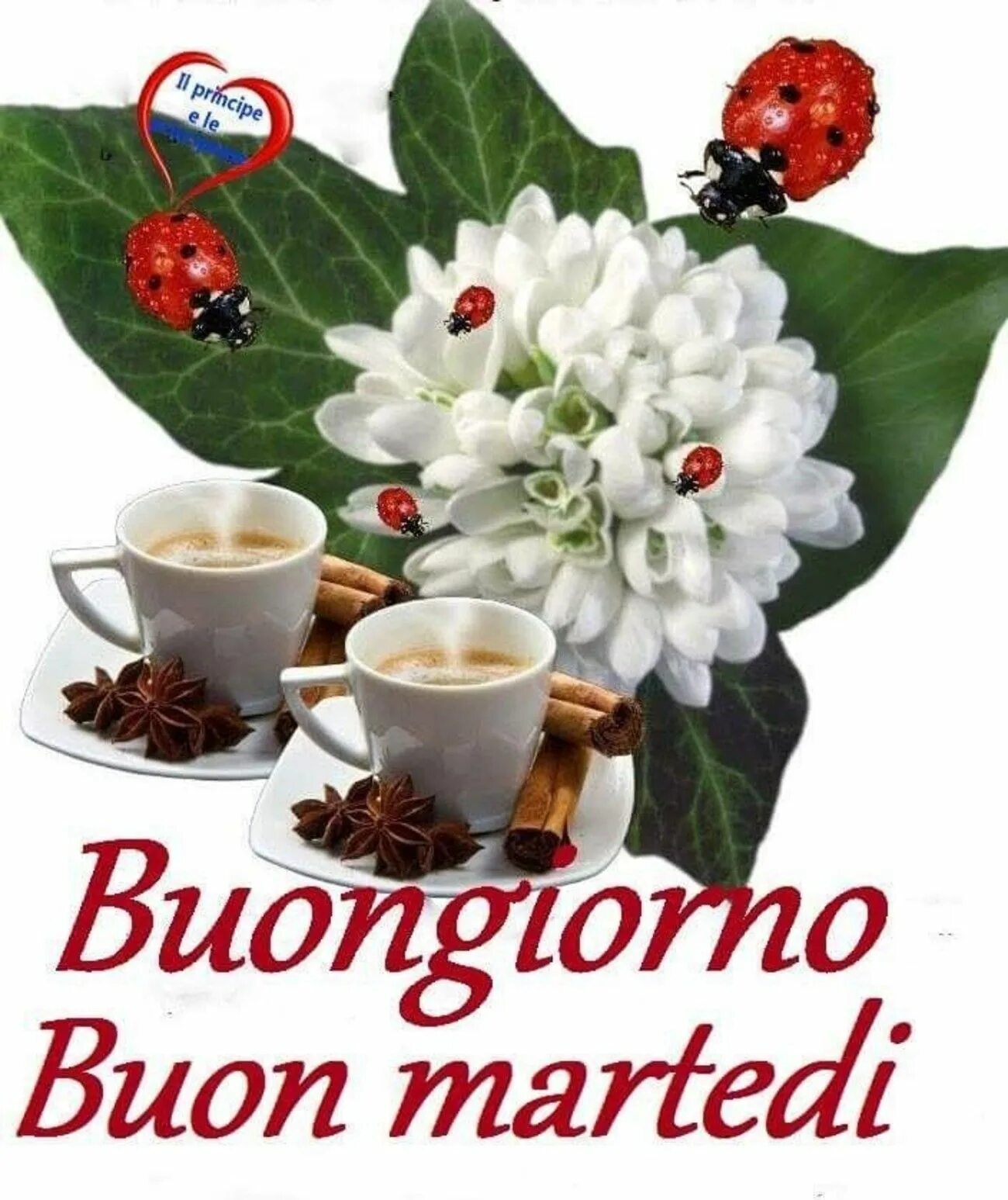 Картинка на итальянском хорошего дня Buon Martedì amici 6812 Buongiorno martedì, Buongiorno, Martedì