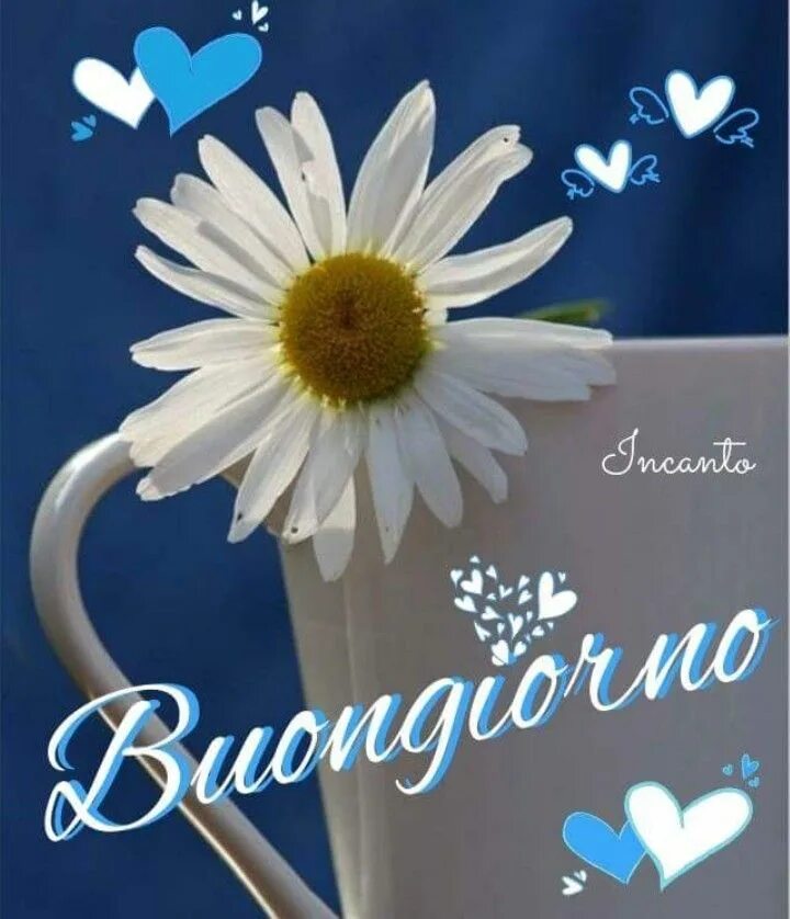 Картинка на итальянском хорошего дня Buongiorno... Italienische grüße, Grüße, Guten morgen