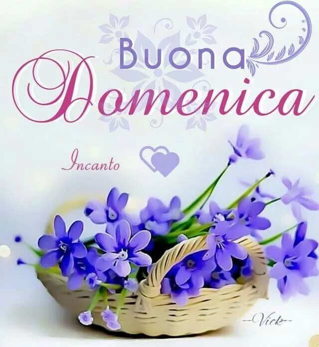 Картинка на итальянском хорошего дня Buongiorno Buona domenica Buona domenica, Domenica, Buongiorno