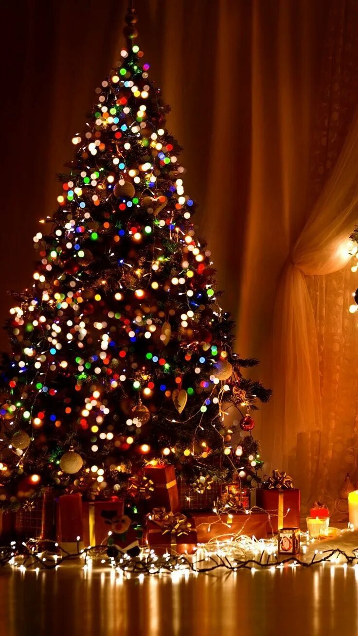 Картинка новый год 2024 на телефон Christmas Tree Wallpapers natal, Papel de parede natalino, Fundos de natal