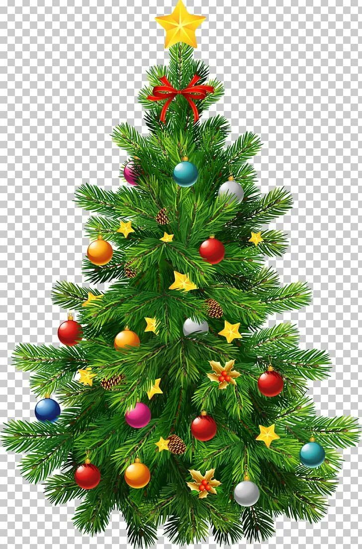 Картинка новый год елочка Christmas Tree Christmas Ornament PNG - Free Download Christmas tree clipart, Ch