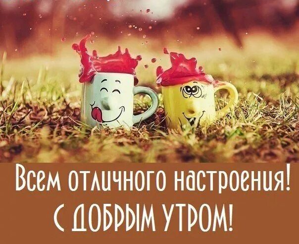 Картинка очень хорошим позитивным утром Good morning, Congrats, Cards