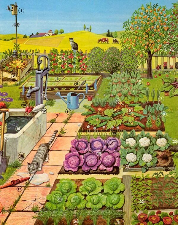 Картинка огорода и животных Kitchen potager garden Gemüsegarten Gemüsegarten, Traumgarten, Gartenmalerei