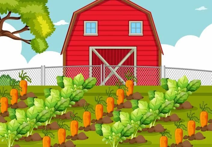 Картинка огорода и животных Vegetable patch at a farm Vegetable illustration, Love pink wallpaper, Farm vect