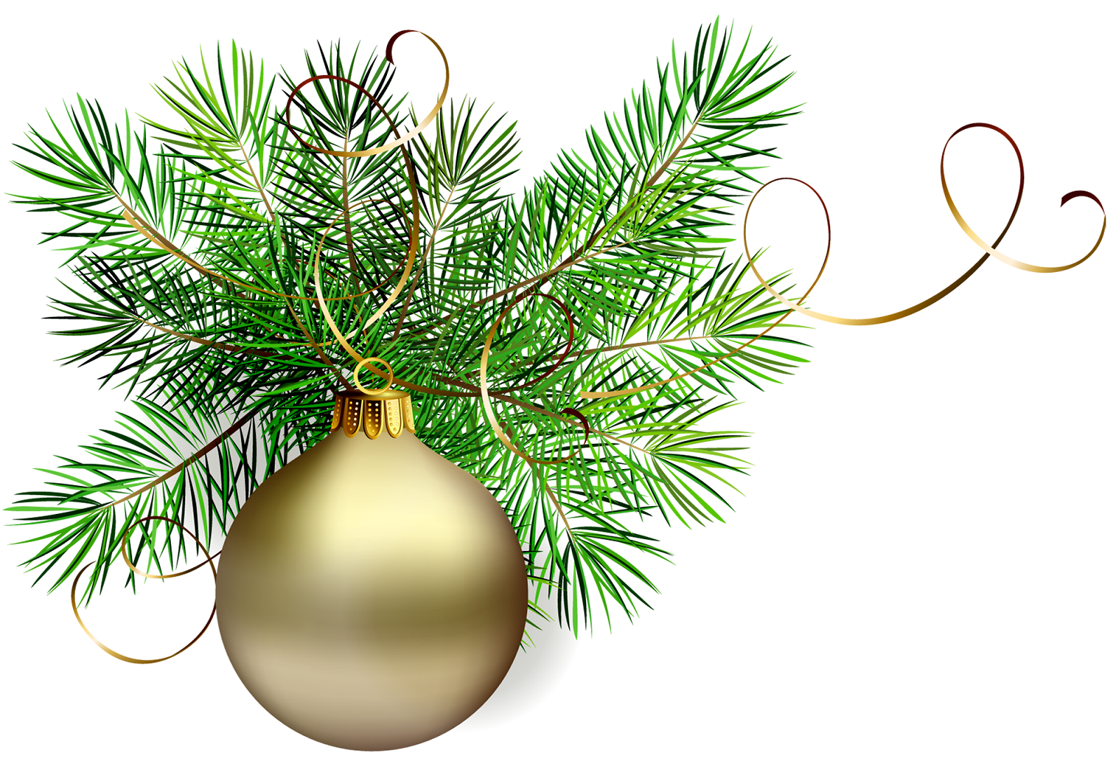 Картинка пнг новым годом Gold Christmas bulb on a pine branch Christmas graphics, Christmas bulbs, Gold c