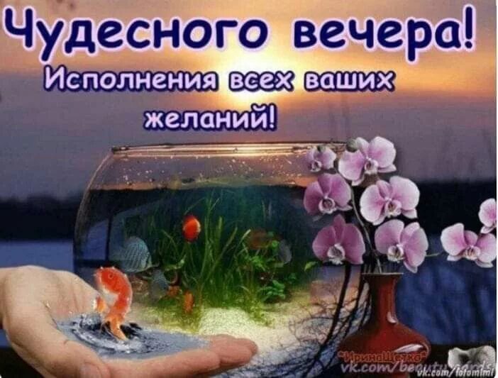Картинка пожелания доброго вечера мудро Пин на доске Вечер Вдохновляющие жизненные цитаты, Вдохновляющие, Жизненные цита