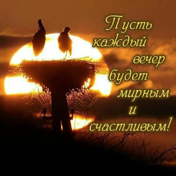 Картинка пожелания доброго вечера мудро Пин от пользователя Болдырева Марина на доске Добрый вечер Счастливые картинки, 