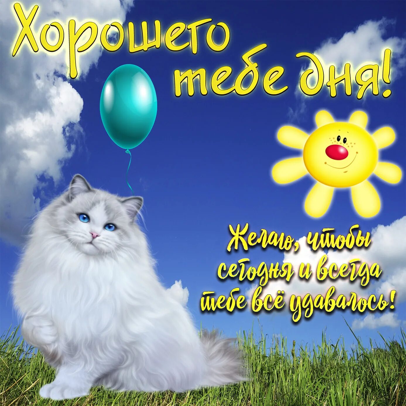Картинка пожелать хорошего дня мужчине Картинка хорошего тебе дня с милой кошечкой