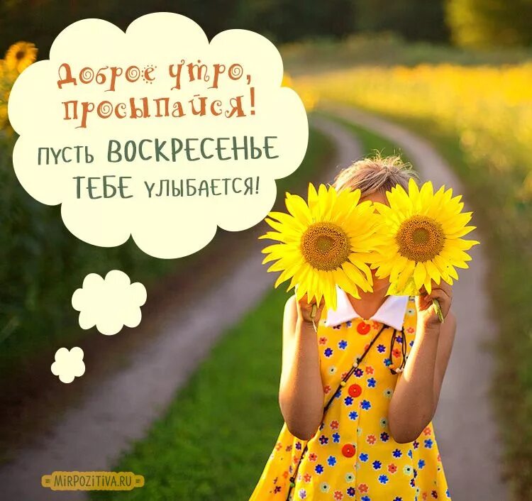 Картинка позитив с красивым пожеланием подсолнухи Guten morgen, Zitate, Sprüche