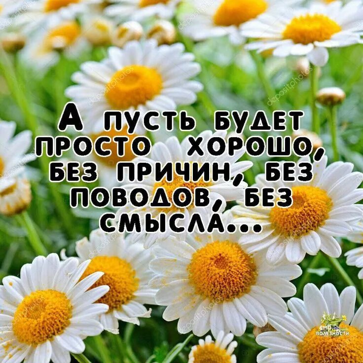 Картинка позитив с красивым пожеланием Пин на доске Позитив_Радость_Счастье Позитив, Позитивные цитаты, Цитаты про лето