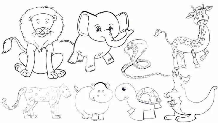 Картинка про животных нарисовать Wild Animals Easy Drawing Simple in 2024 Animals drawing images, Animal drawings