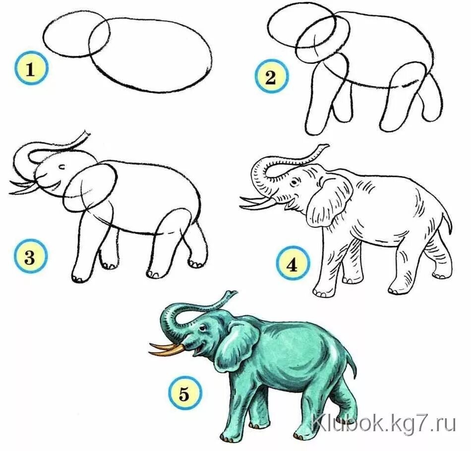 Картинка про животных нарисовать Учимся рисовать животных Wild animals drawing, Animal drawings, Elephant drawing