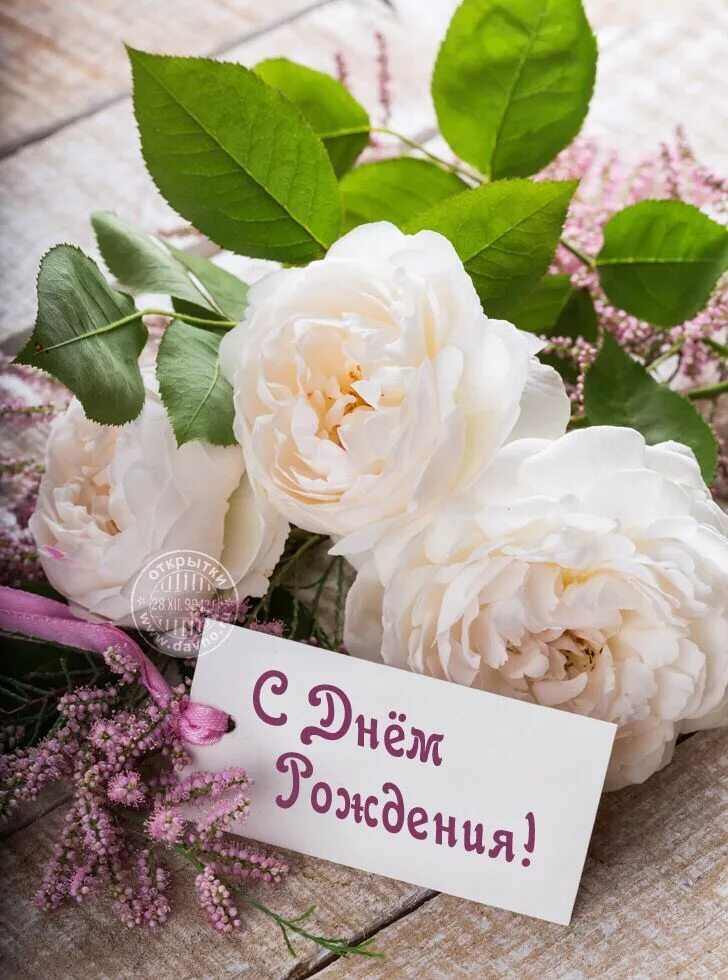 Картинка с днем рождения девушке нежная Pin on С днем рождения! Happy birthday flower, Birthday flowers, Happy birthday 