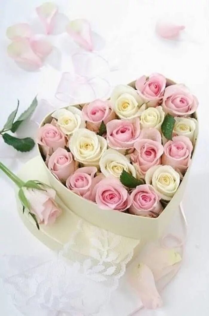 Картинка с днем рождения девушке нежная #roses #коробка #красиво Birthday flowers, Birthday, Beautiful flowers