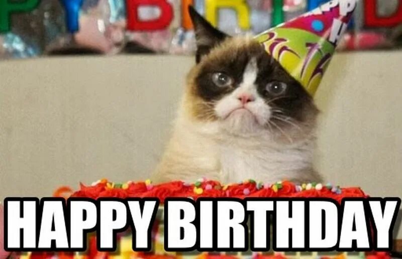 Картинка с днем рождения мем 101 Funny Cat Birthday Memes for the Feline Lovers in Your Life Cat birthday mem