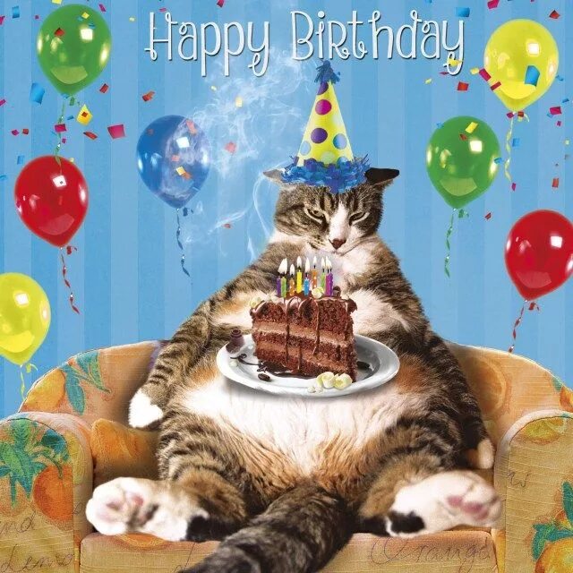 Картинка с днем рождения с котами прикольная 32+ Elegant Photo of Cat With Birthday Cake - entitlementtrap.com Happy birthday