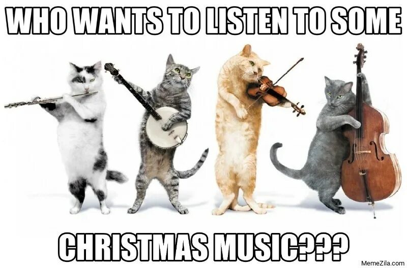 Картинка с днем рождения с котами прикольная Musings for Friday - Is It Time Yet? Christmas Music