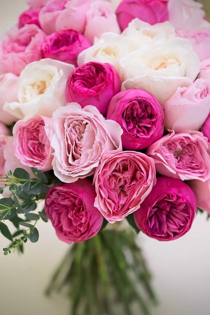 Картинка с днем рождения цветы красивые Pin på Pink's Flower Shop Födelsedagshälsningar, Congratulations, Födelsedag