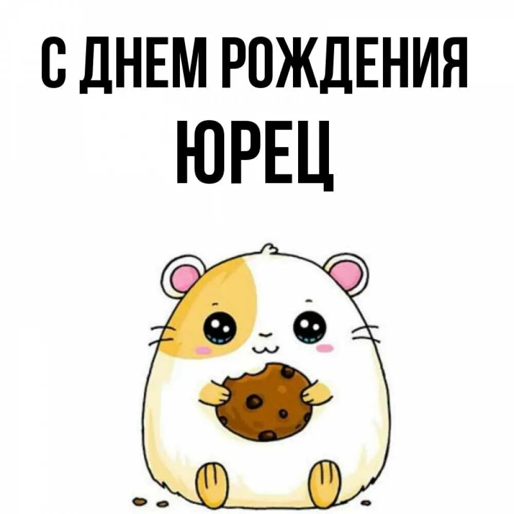 Картинка с днем рождения юрец прикольные Открытка с именем Юрец С днем рождения Хомяк жрет печеньку. Открытки на каждый д