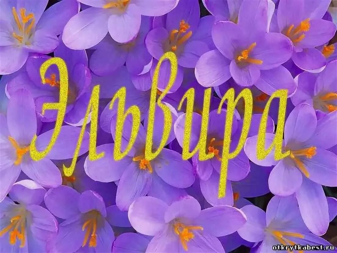 Картинка с днем рождения женщине эльвира Поздравления с днем рождения эльвире - журнал 13malyshok.ru